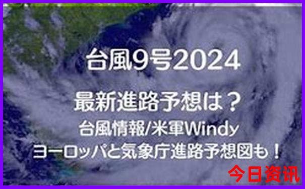最新2025官方入口年领取天天汇总免费正版资料全新发布-77777888管家婆四肖四码